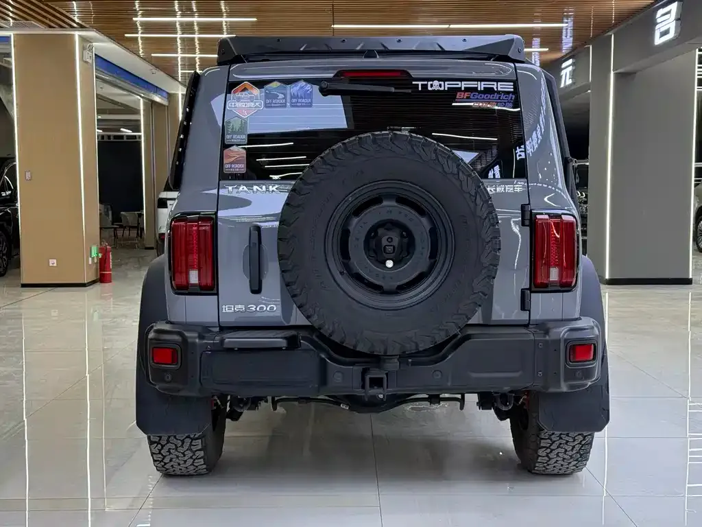 Tank 300 2023 из CN, фото 4