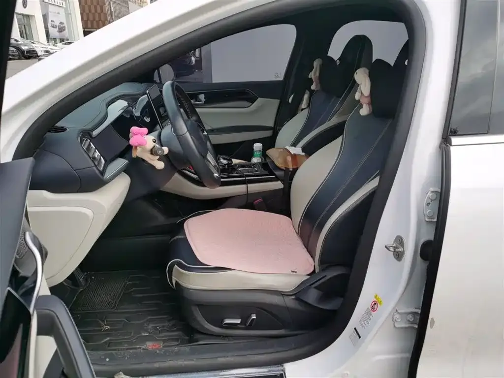 BYD Qin PLUS 2022 из CN, фото 3