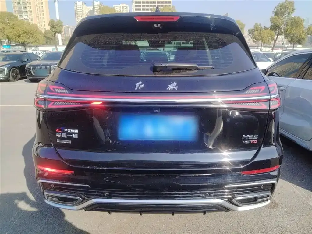 Hongqi HS5 2024 из CN, фото 7