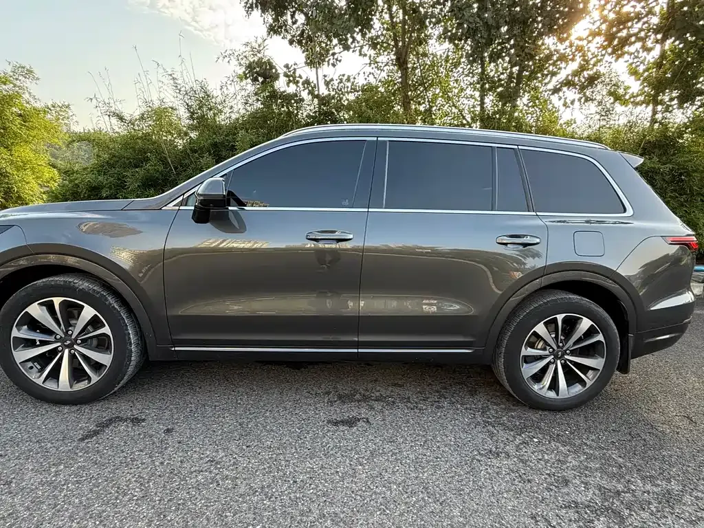 Li Auto ONE 2021 из CN, фото 8