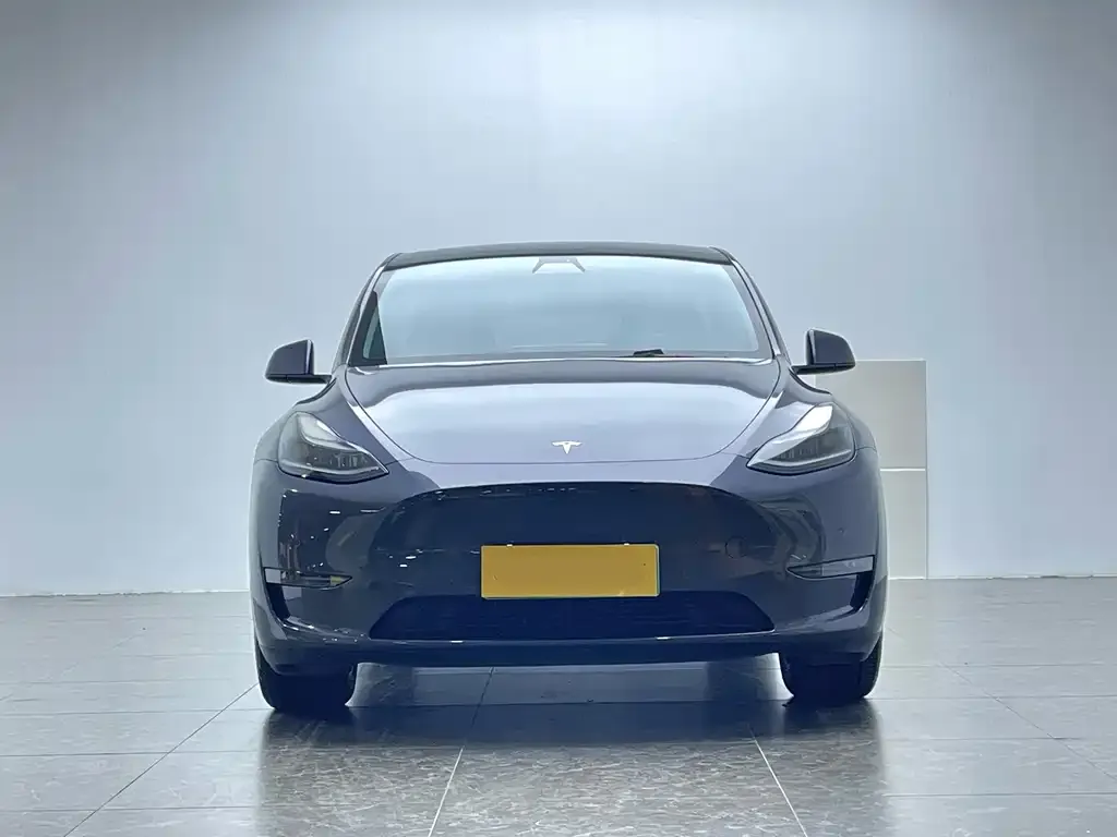Tesla Model Y 2022 из CN, фото 2