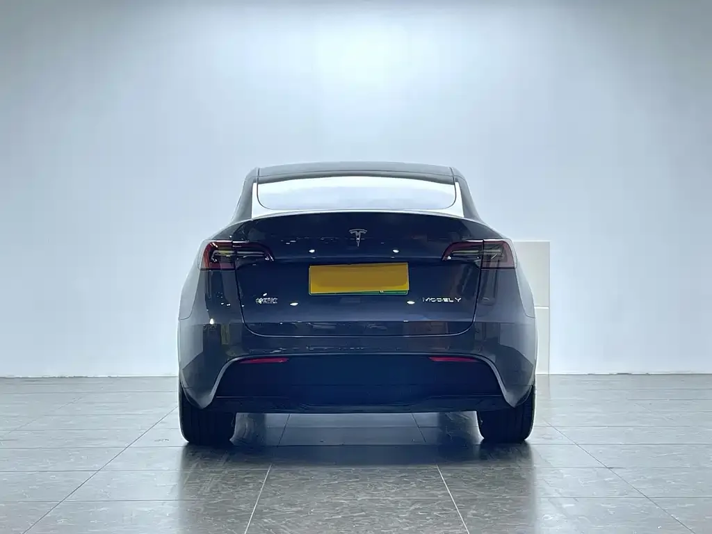 Tesla Model Y 2022 из CN, фото 4