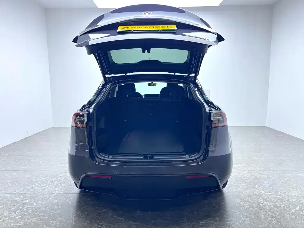 Tesla Model Y 2022 из CN, фото 6