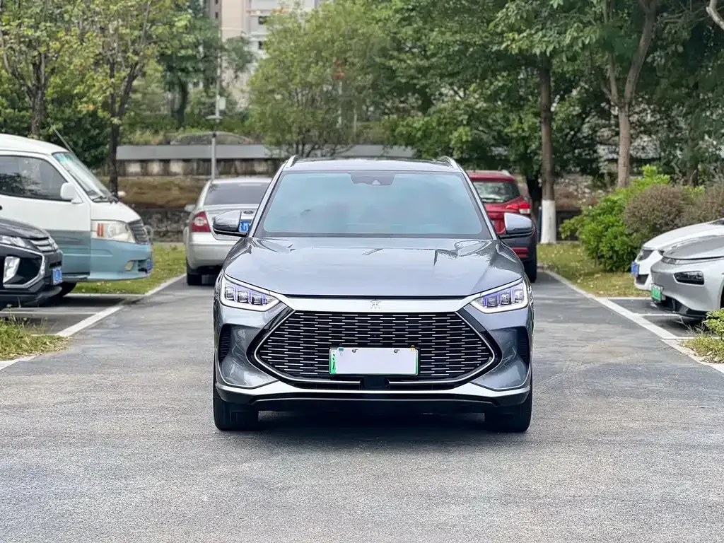 BYD PLUS New Energy 2022 из CN, фото 2