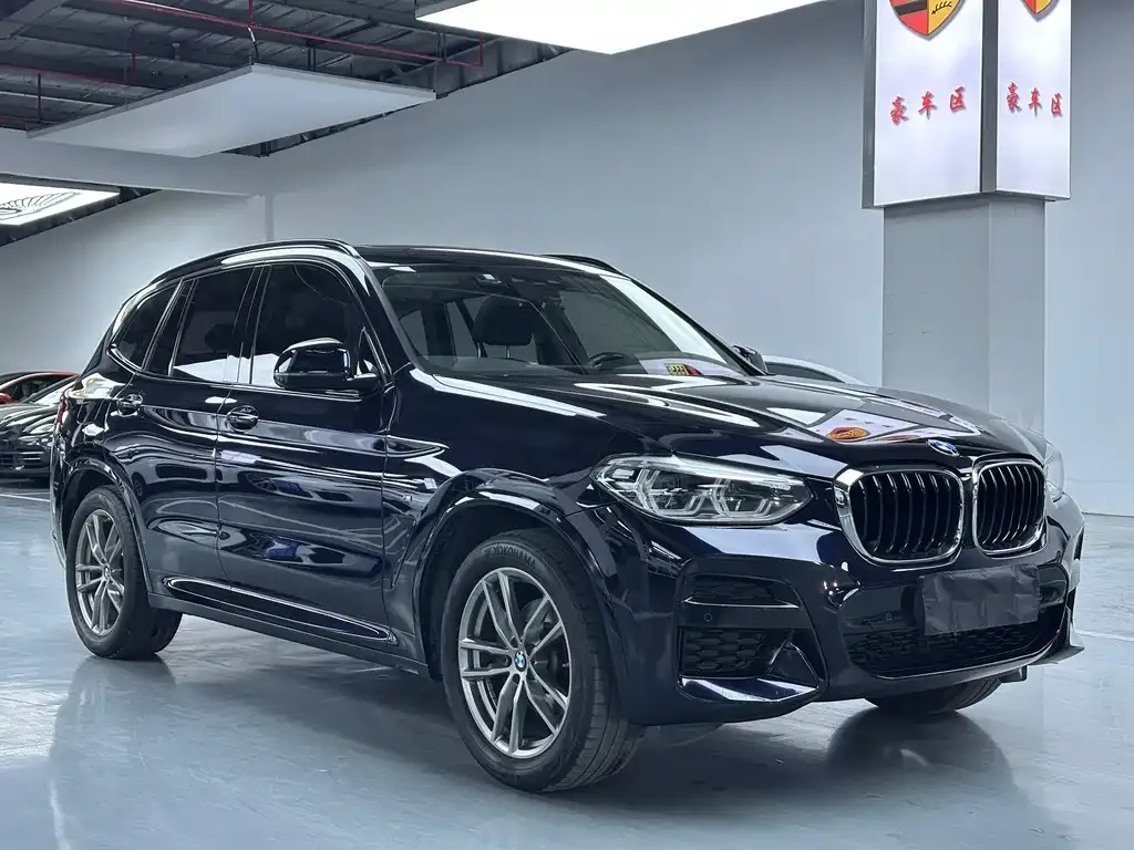 BMW X3 2021 из CN, фото 3