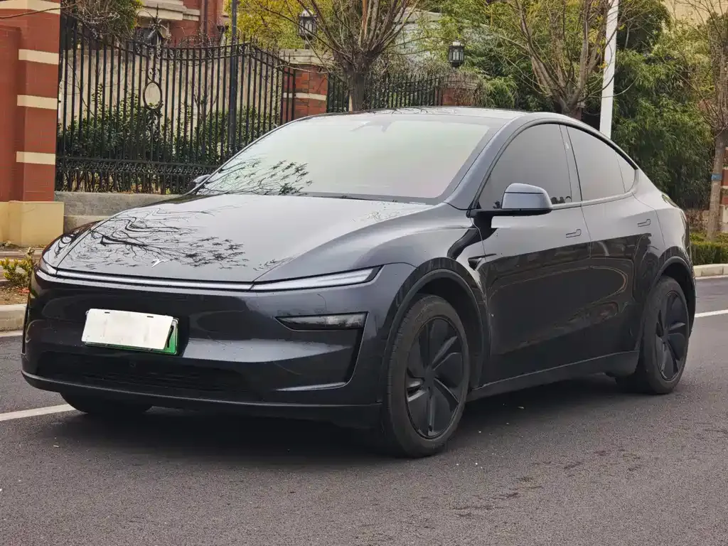 Tesla Model Y 2025 из CN, фото 1