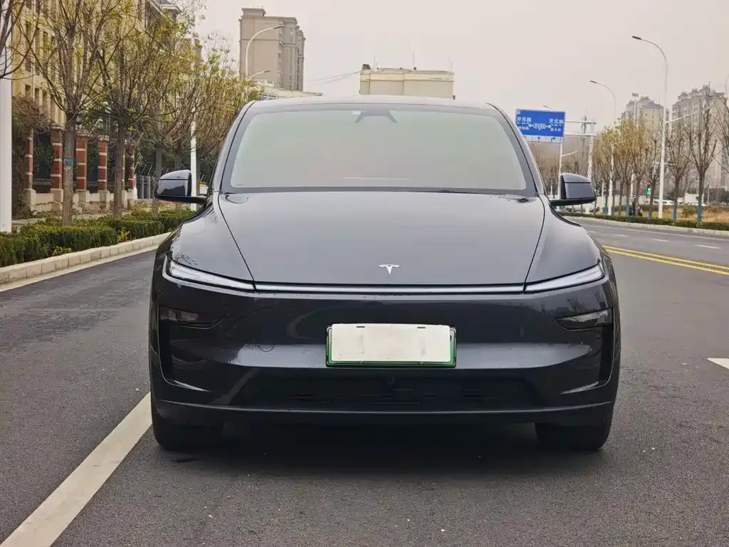 Tesla Model Y 2025 из CN, фото 10