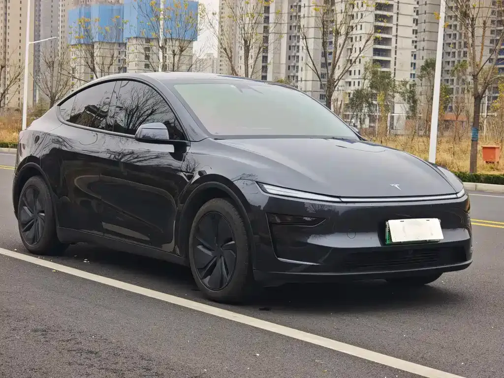 Tesla Model Y 2025 из CN, фото 9