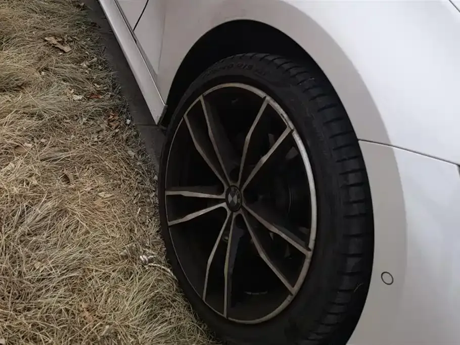 BMW 3 Series 2023 из CN, фото 8