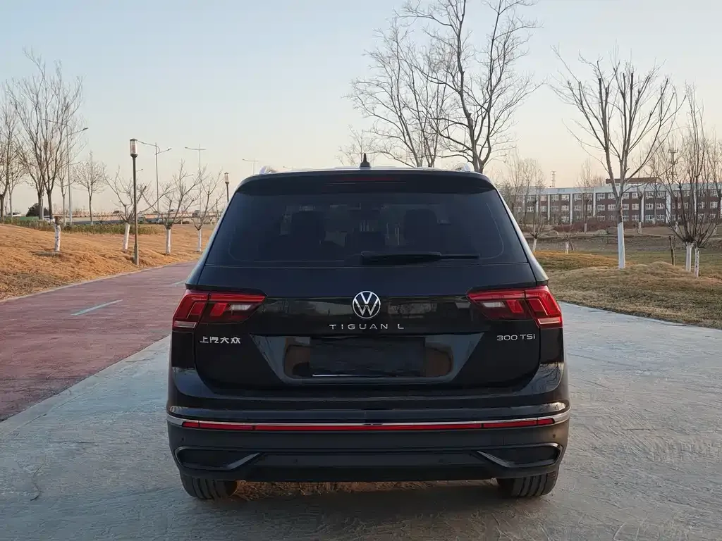 Volkswagen Tiguan L 2025 из CN, фото 8