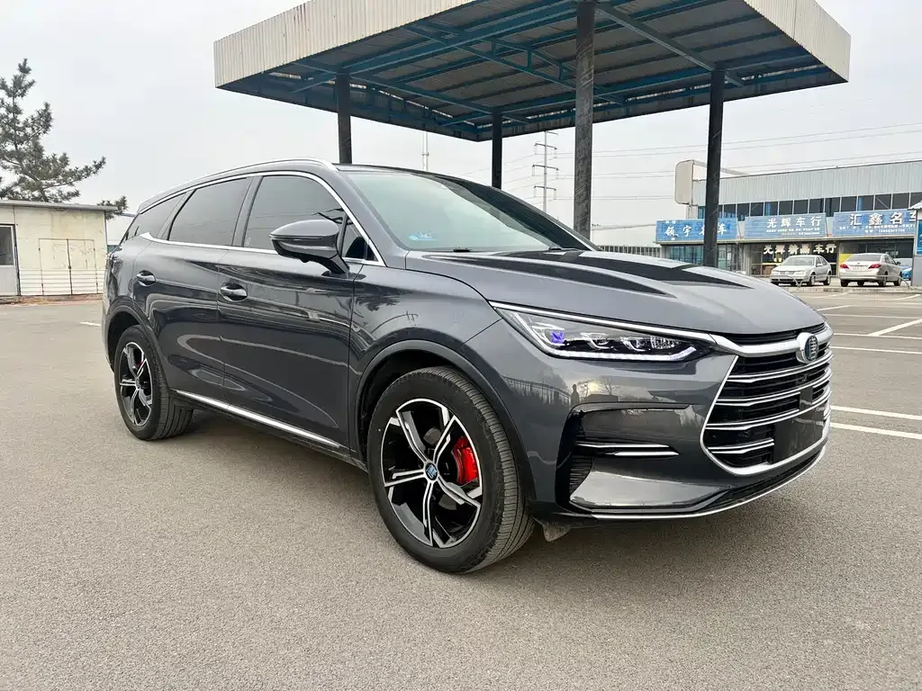 BYD Tang New Energy 2023 из CN, фото 6