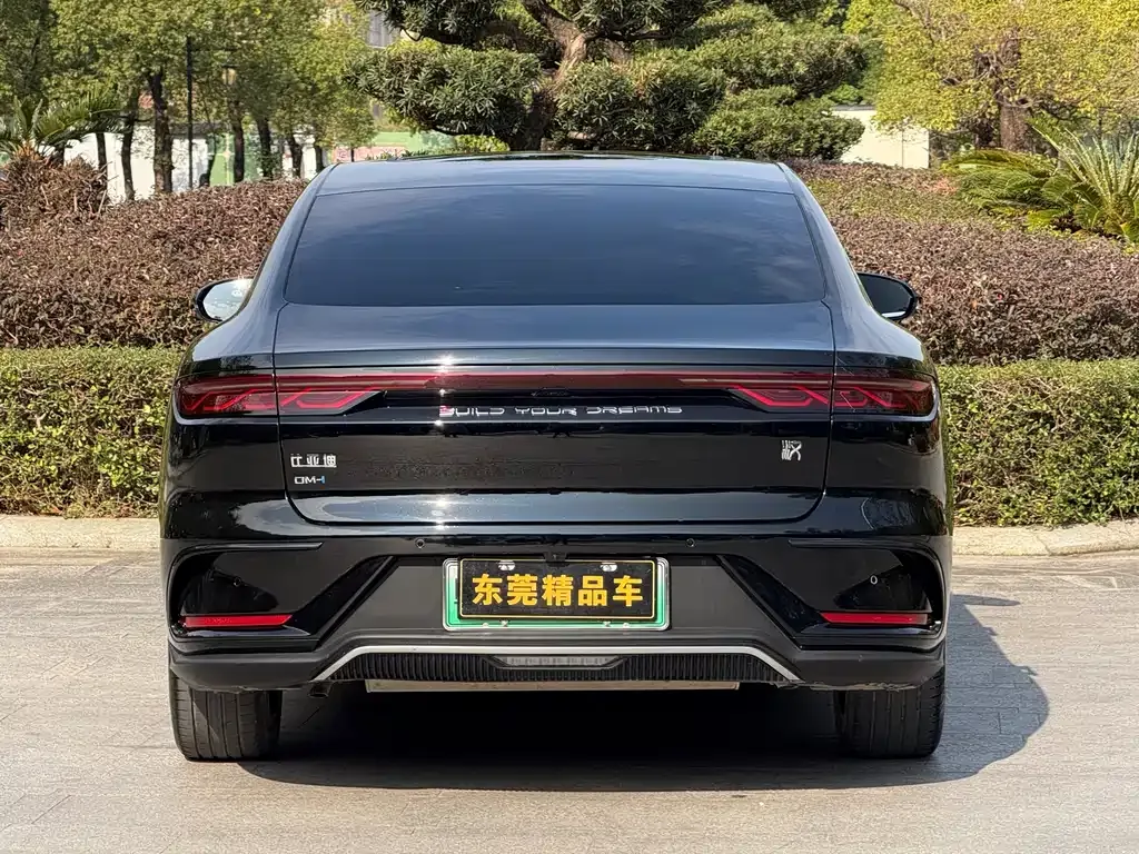 BYD Han 2023 из CN, фото 6