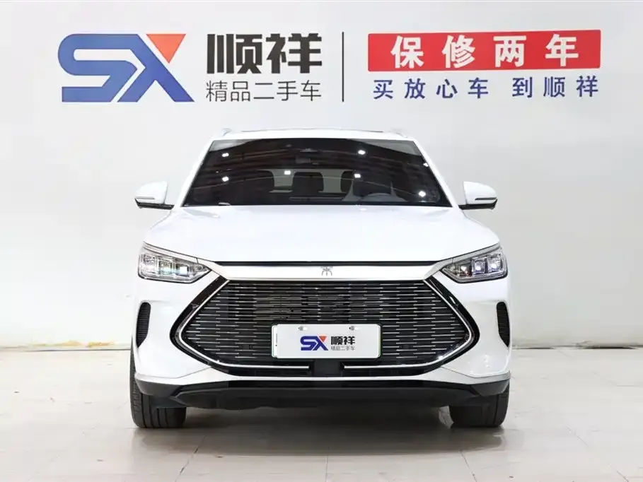 BYD PLUS New Energy 2023 из CN, фото 2
