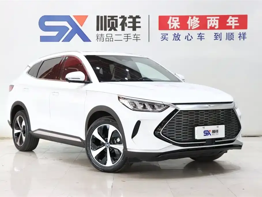 BYD PLUS New Energy 2023 из CN, фото 3