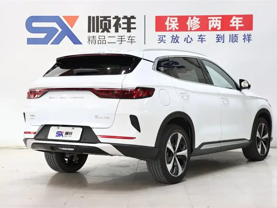 BYD PLUS New Energy 2023 из CN, фото 4