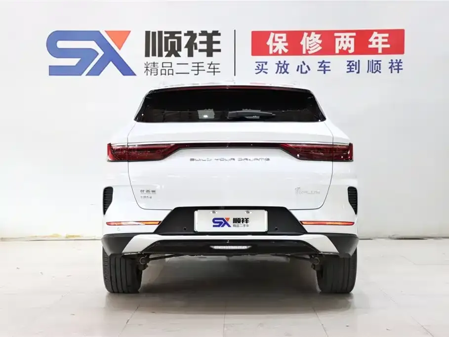BYD PLUS New Energy 2023 из CN, фото 5