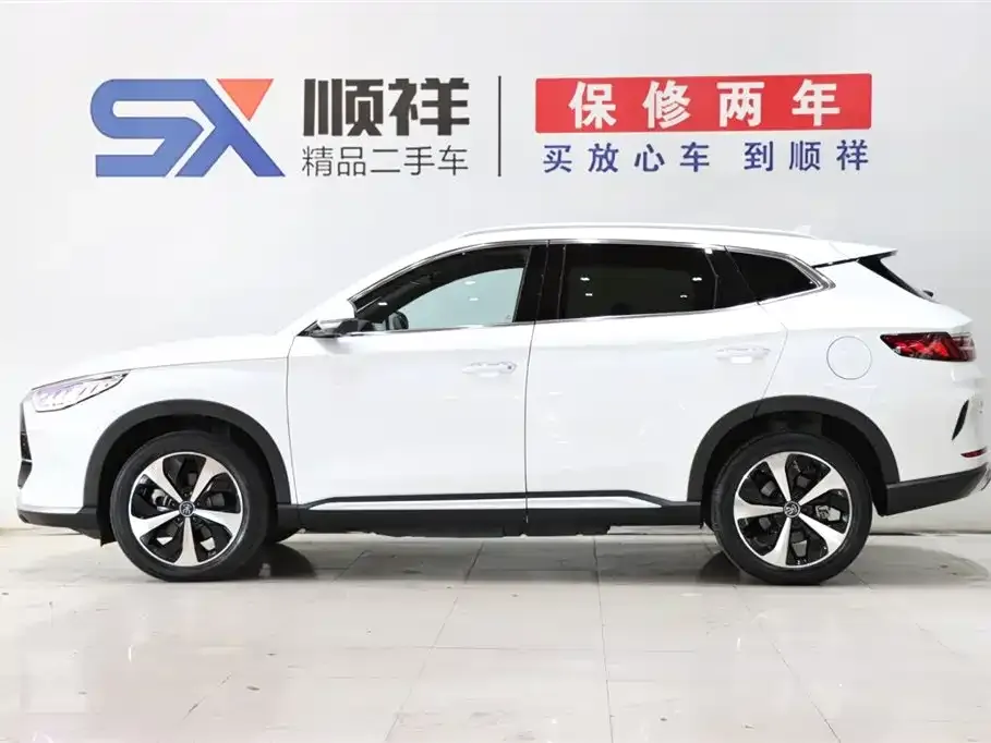 BYD PLUS New Energy 2023 из CN, фото 6
