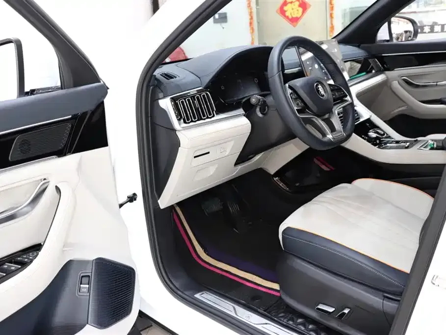 BYD PLUS New Energy 2023 из CN, фото 9