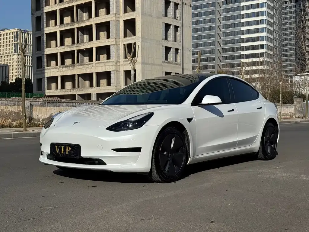 Tesla Model 3 2023 из CN, фото 1