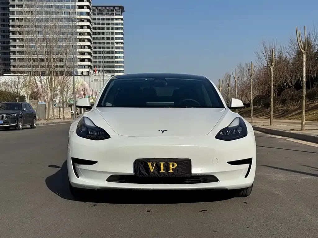 Tesla Model 3 2023 из CN, фото 9