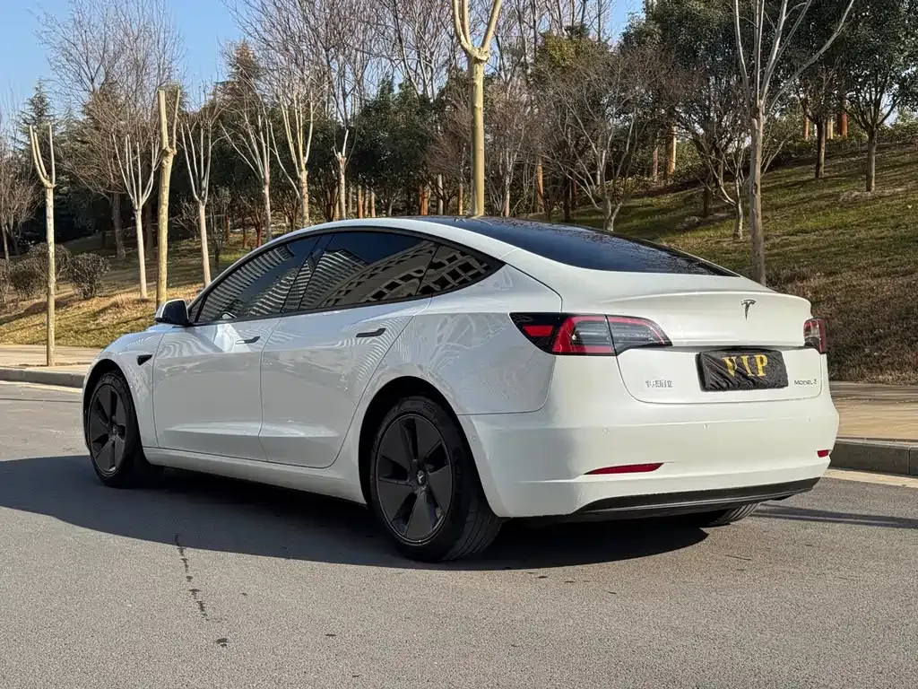 Tesla Model 3 2023 из CN, фото 10