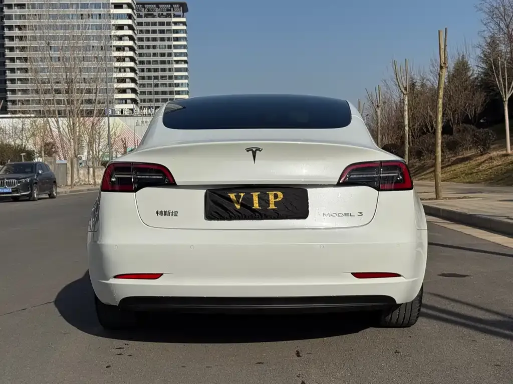 Tesla Model 3 2023 из CN, фото 7