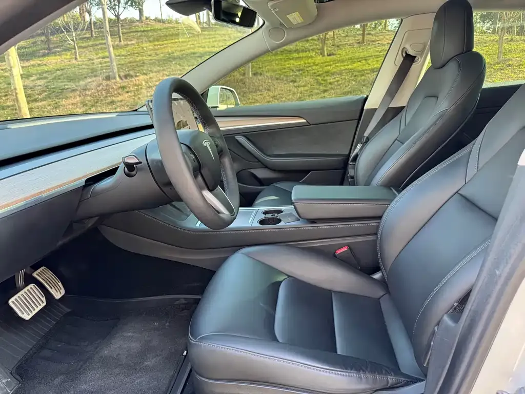 Tesla Model 3 2023 из CN, фото 5