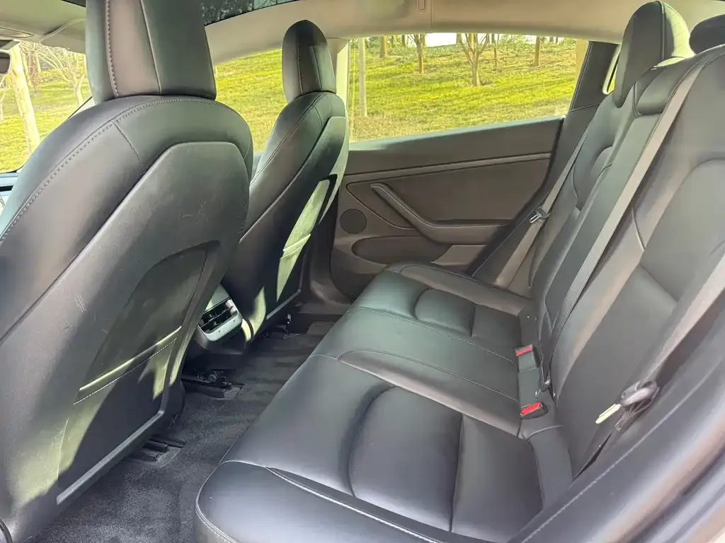 Tesla Model 3 2023 из CN, фото 6