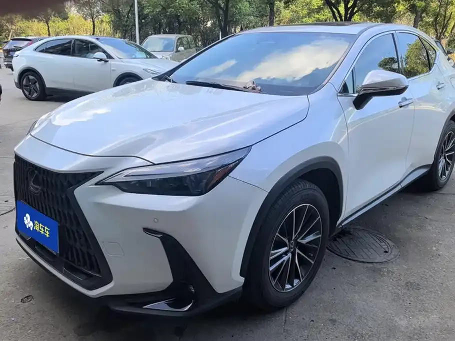 Lexus NX 2022 из CN, фото 1