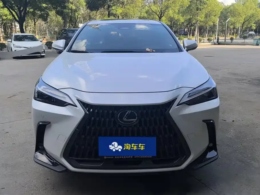 Lexus NX 2022 из CN, фото 10