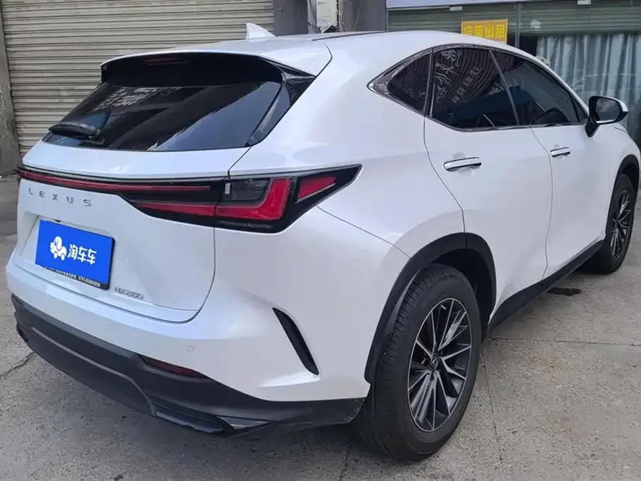 Lexus NX 2022 из CN, фото 8