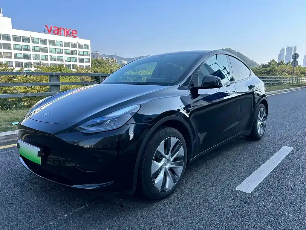 Tesla Model Y 2022 из CN, фото 1