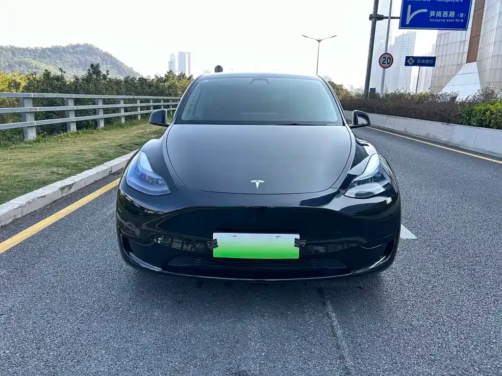 Tesla Model Y 2022 из CN, фото 9
