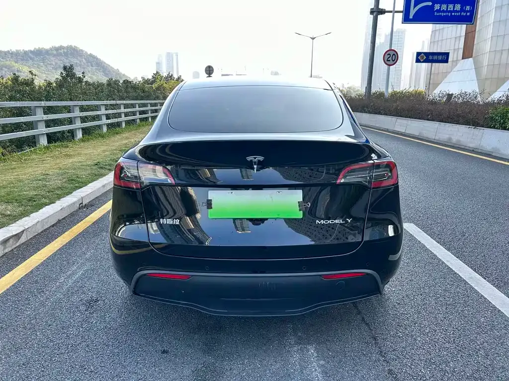 Tesla Model Y 2022 из CN, фото 6