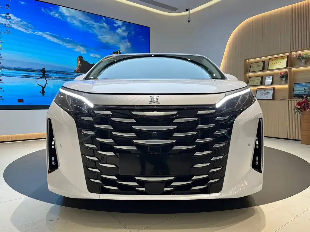 BYD Xia 2025 из CN, фото 1