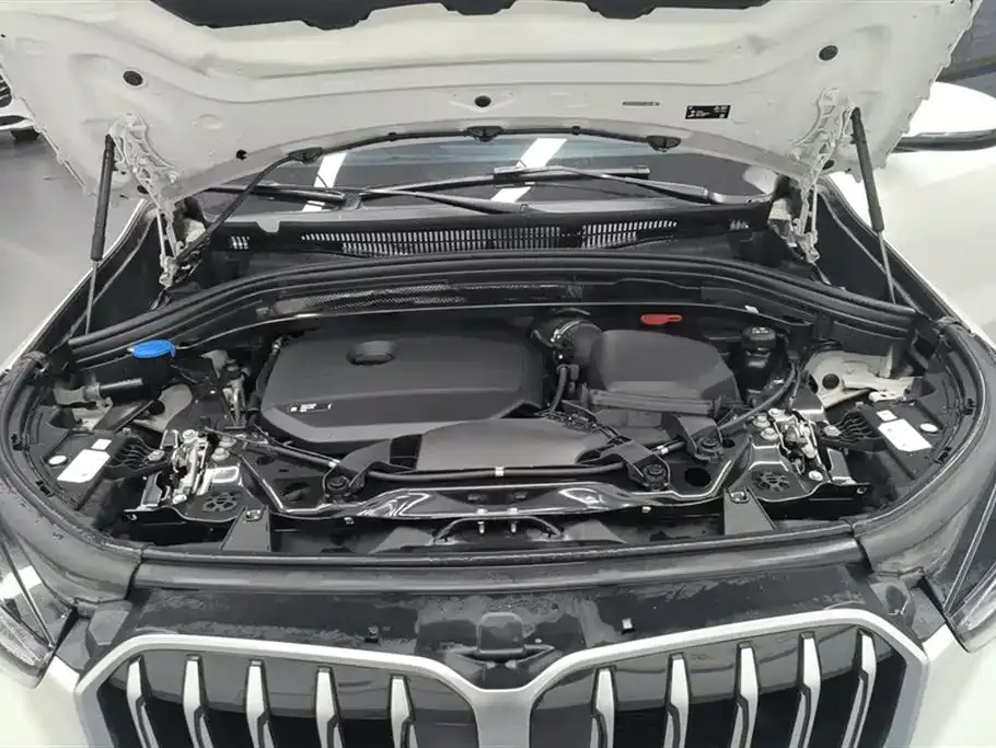 BMW X1 2023 из CN, фото 6