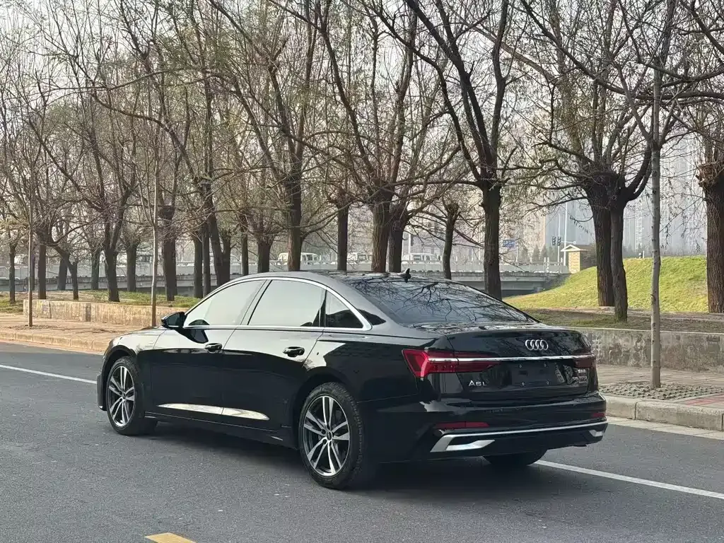 Audi A6L 2023 из CN, фото 9