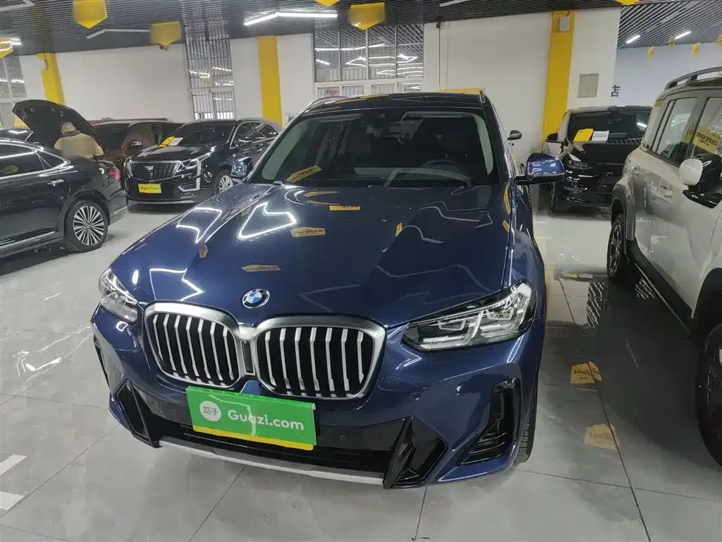 BMW X3 2022 из CN, фото 9
