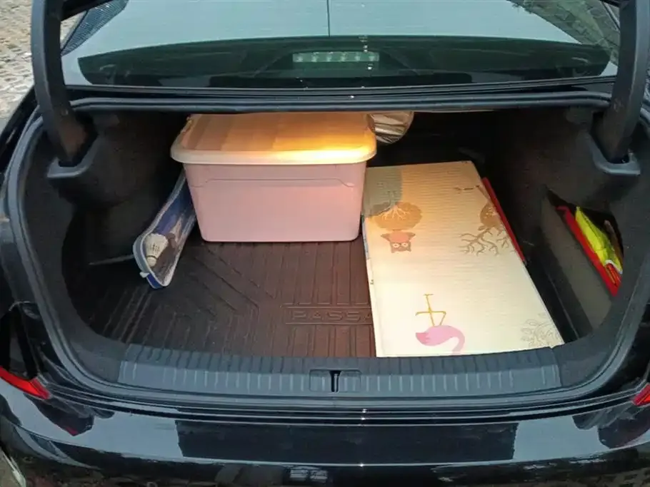Volkswagen Passat 2024 из CN, фото 6