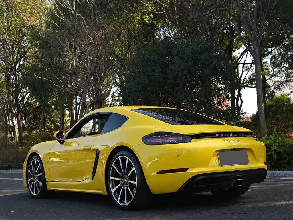 Porsche 718 — фото 7