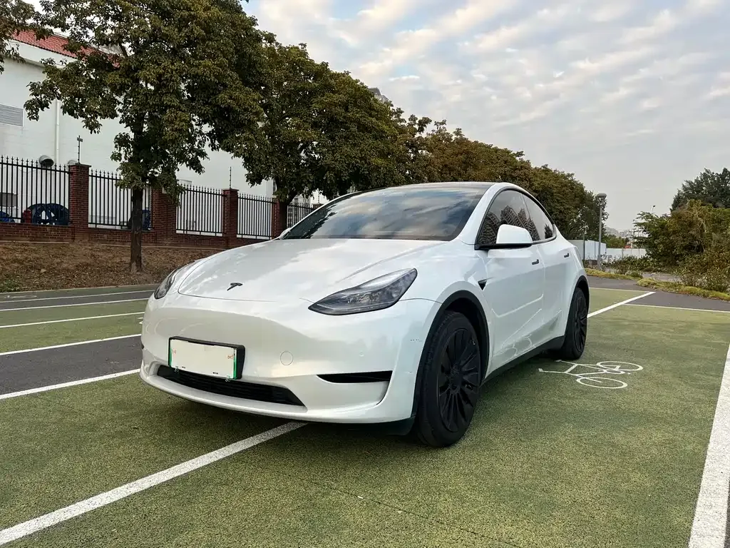 Tesla Model Y 2023 из CN, фото 1