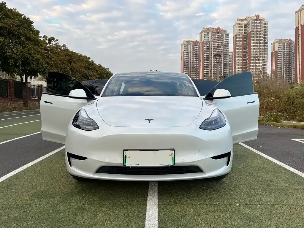 Tesla Model Y 2023 из CN, фото 6
