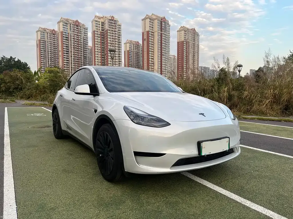 Tesla Model Y 2023 из CN, фото 5
