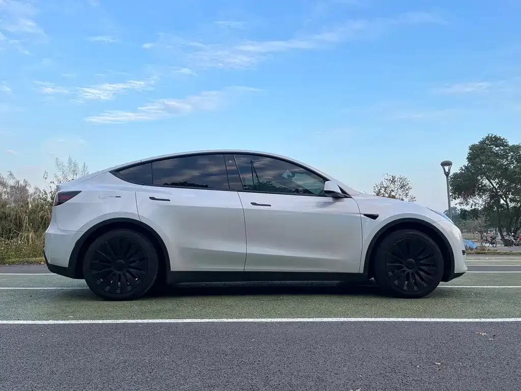 Tesla Model Y 2023 из CN, фото 9