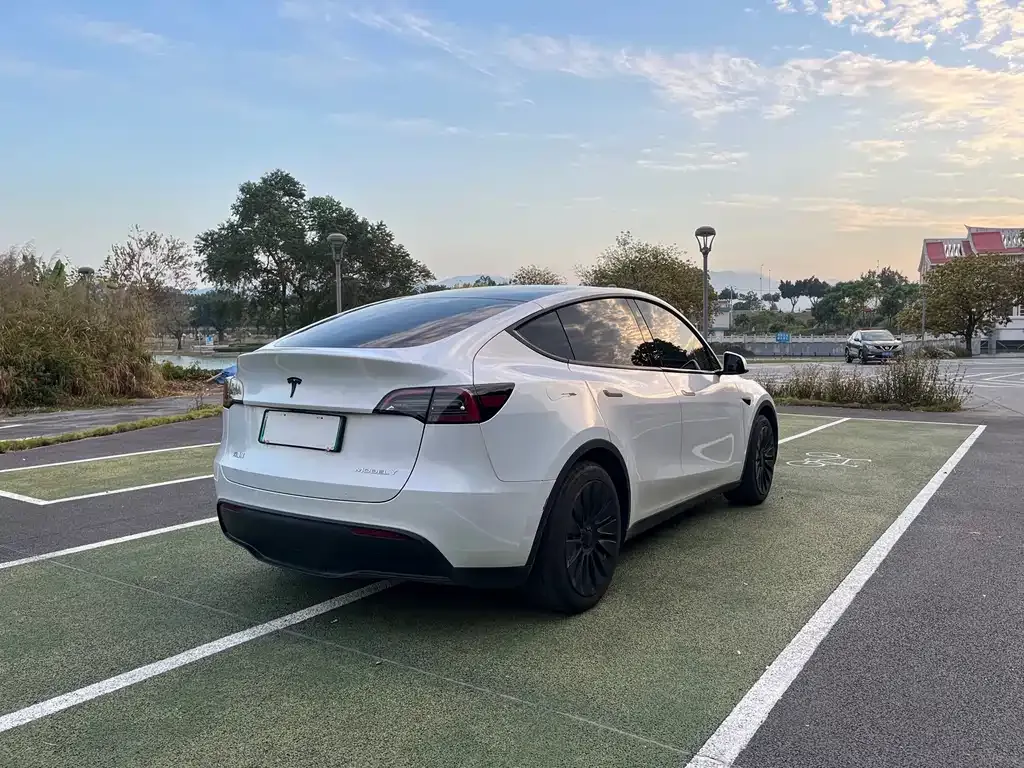 Tesla Model Y 2023 из CN, фото 8