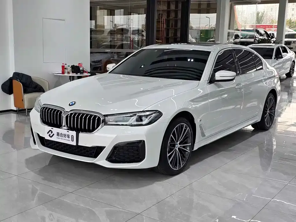 BMW 5 Series 2022 из CN, фото 1