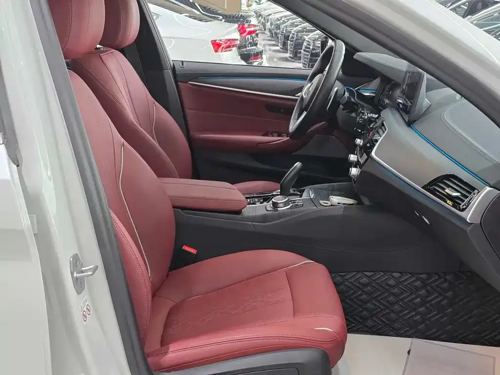 BMW 5 Series 2022 из CN, фото 3