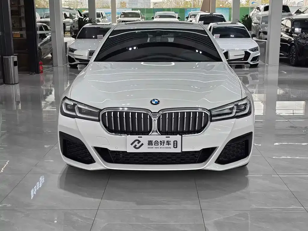 BMW 5 Series 2022 из CN, фото 7