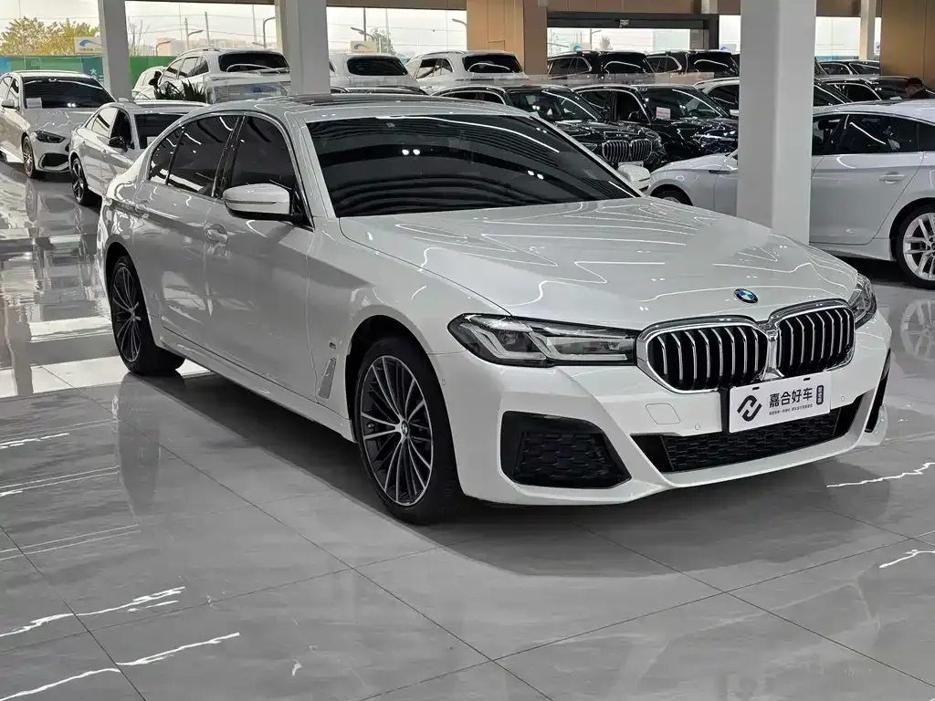 BMW 5 Series 2022 из CN, фото 9