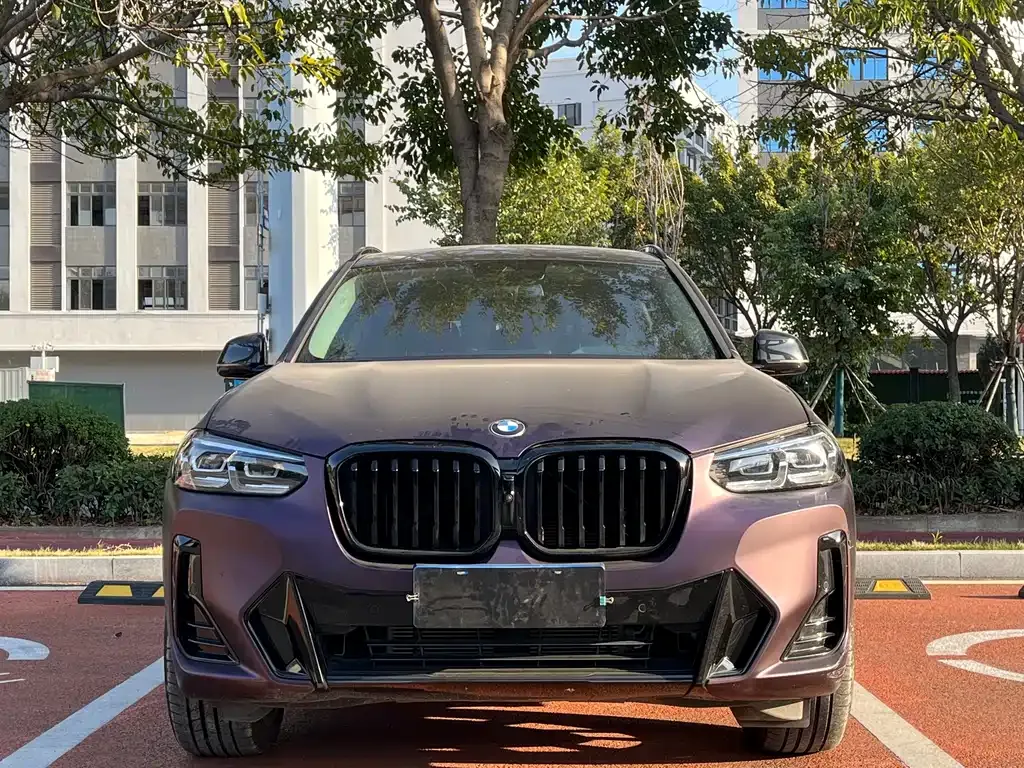 BMW X3 2024 из CN, фото 7